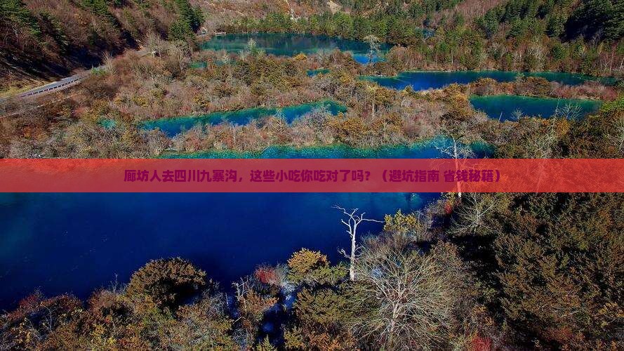 廊坊去四川九寨沟旅游小吃