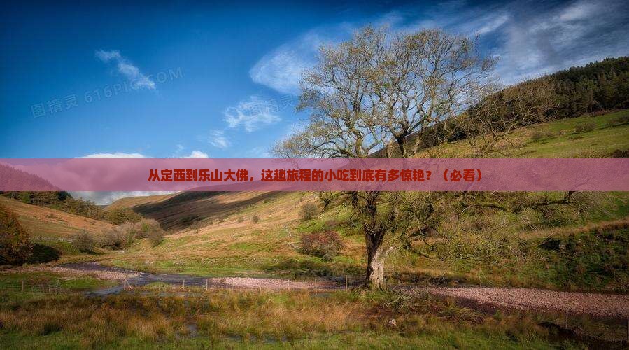 定西去四川乐山大佛旅游小吃