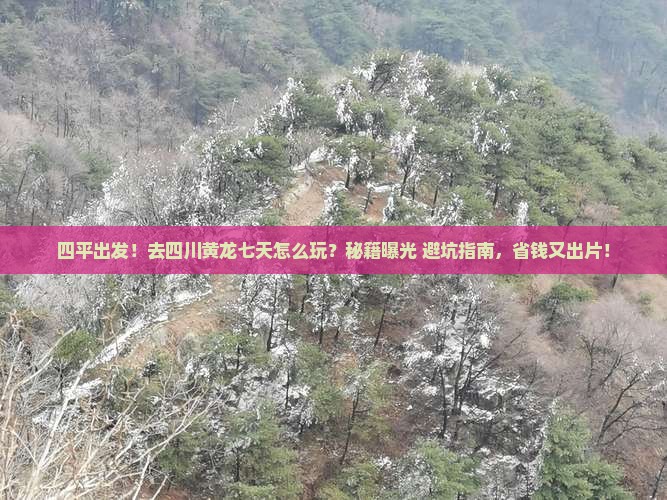 四平到四川黄龙七日游