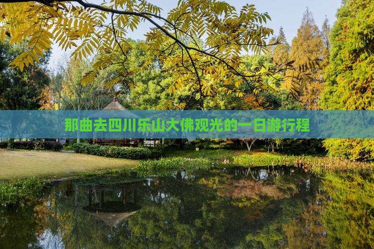那曲去四川乐山大佛观光的一日游行程