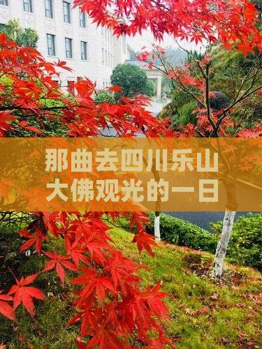 那曲去四川乐山大佛观光的一日游行程
