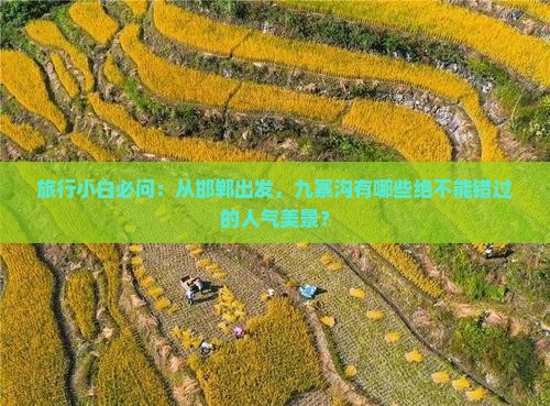 旅行小白必问：从邯郸出发，九寨沟有哪些绝不能错过的人气美景？