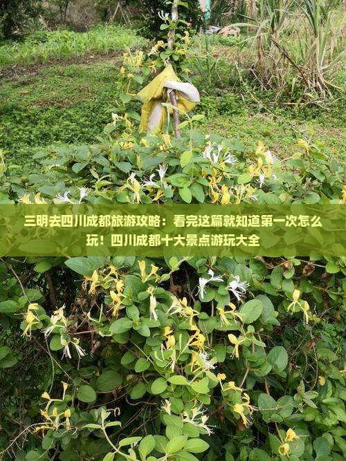 三明去四川成都旅游攻略：看完这篇就知道第一次怎么玩！四川成都十大景点游玩大全