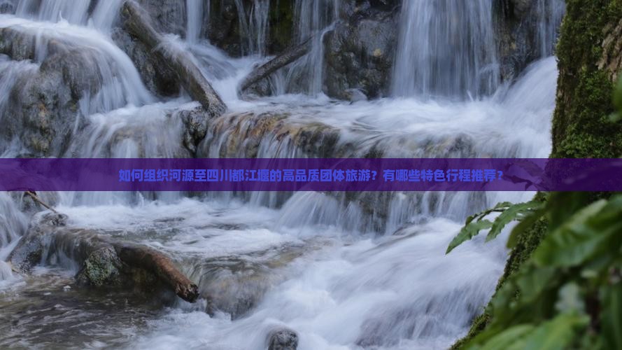 如何组织河源至四川都江堰的高品质团体旅游？有哪些特色行程推荐？