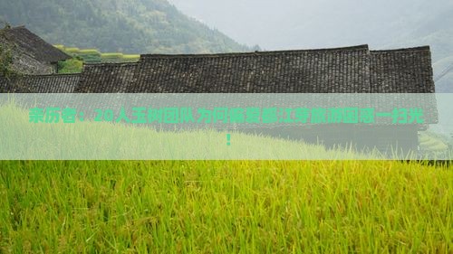 亲历者:20人玉树团队为何偏爱都江芽旅游困惑一扫光! 亲历者:20人玉树团队为何偏爱都江芽旅游困惑一扫光!