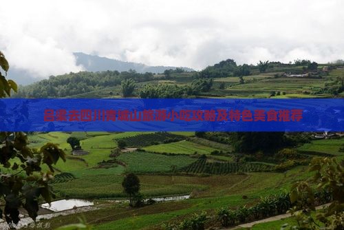 吕梁去四川青城山旅游小吃攻略及特色美食推荐