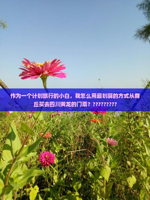 作为一个计划旅行的小白，我怎么用最划算的方式从商丘买去四川黄龙的门票？?????????