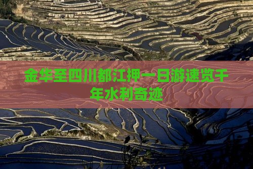 金华至四川都江押一日游速览千年水利奇迹