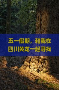 五一假期，和我在四川黄龙一起寻找人间童话，五天时光慢旅行