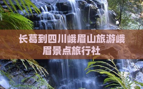 长葛到四川峨眉山旅游峨眉景点旅行社
