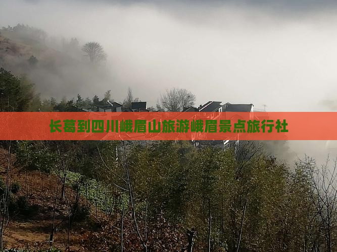长葛到四川峨眉山旅游峨眉景点旅行社