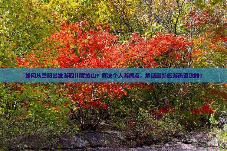 如何从岳阳出发游四川青城山？解决个人游痛点，解锁最新旅游热词攻略！