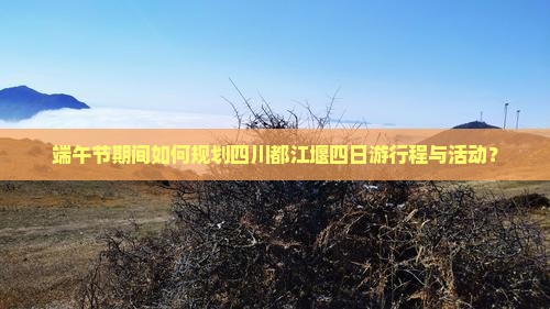端午节期间如何规划四川都江堰四日游行程与活动？