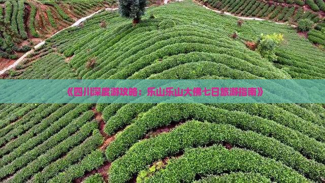 《四川深度游攻略：乐山乐山大佛七日旅游指南》