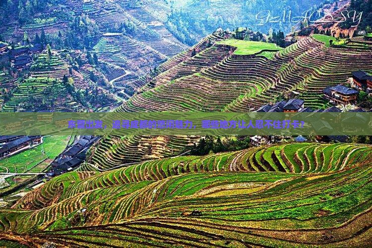 东营出发，追寻成都的悠闲魅力，哪些地方让人忍不住打卡？