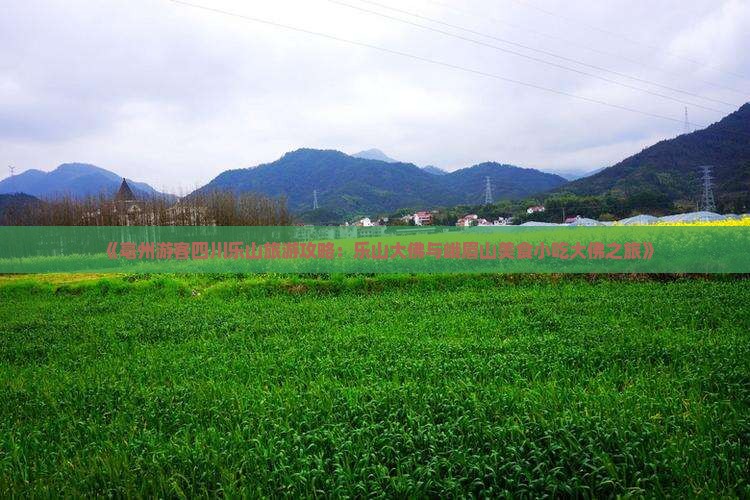 《亳州游客四川乐山旅游攻略：乐山大佛与峨眉山美食小吃大佛之旅》