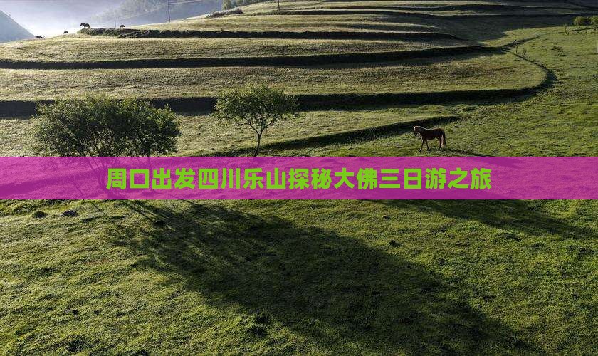 周口出发四川乐山探秘大佛三日游之旅