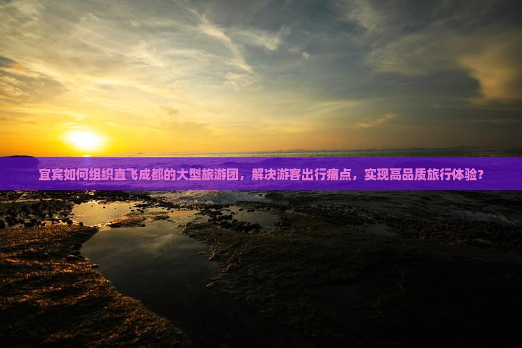 宜宾如何组织直飞成都的大型旅游团，解决游客出行痛点，实现高品质旅行体验？