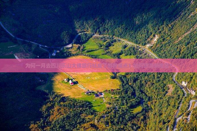 为何一月去四川乐山大佛旅行社成了游客痛点？如何旅游新难题？