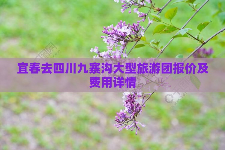宜春去四川九寨沟大型旅游团