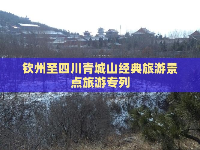 钦州去四川青城山旅行社