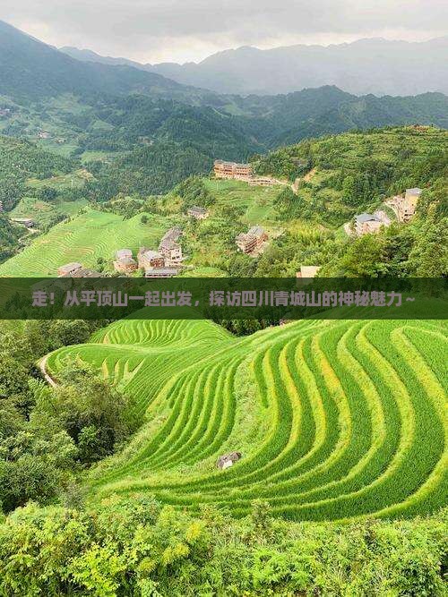 平顶山到四川青城山旅行社