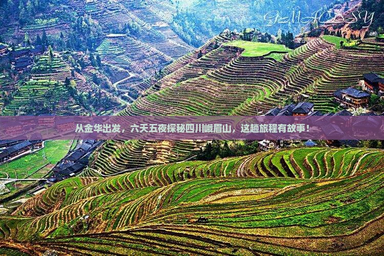 金华到四川峨眉山六日游