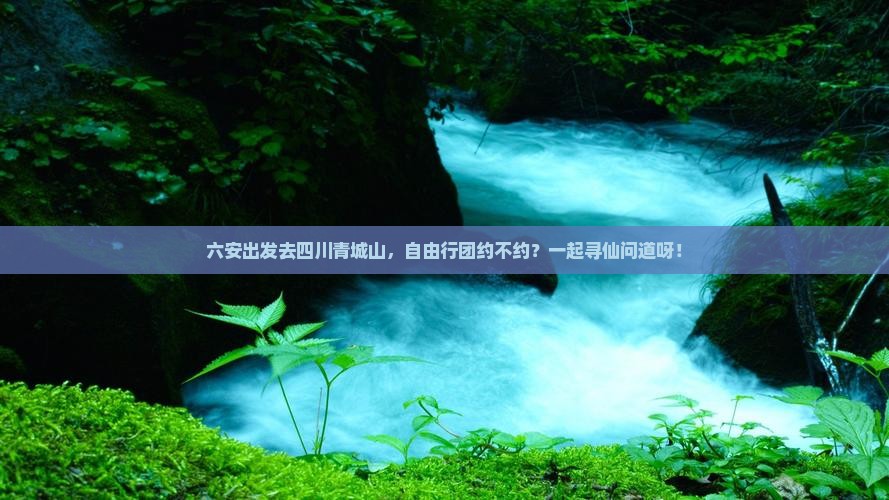 六安去四川青城山自由团