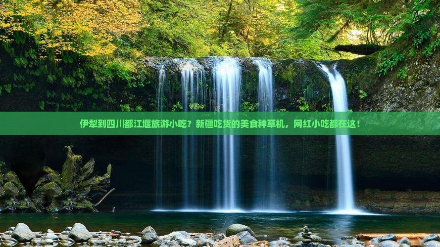 伊犁到四川都江堰旅游小吃