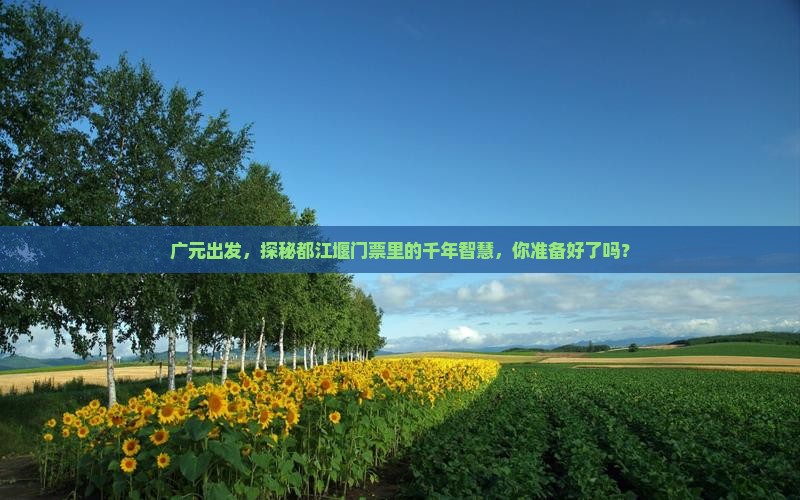 广元去四川都江堰门票