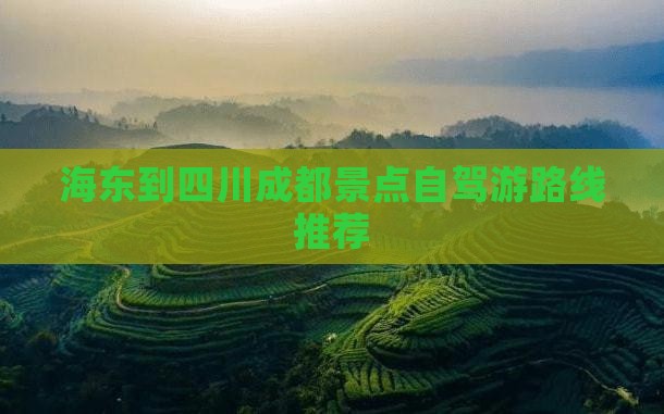 海东到四川成都景点