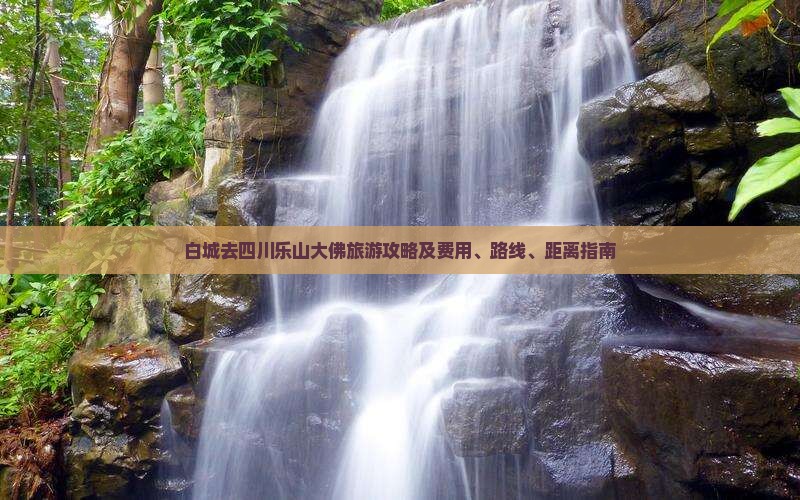 白城去四川乐山大佛旅游