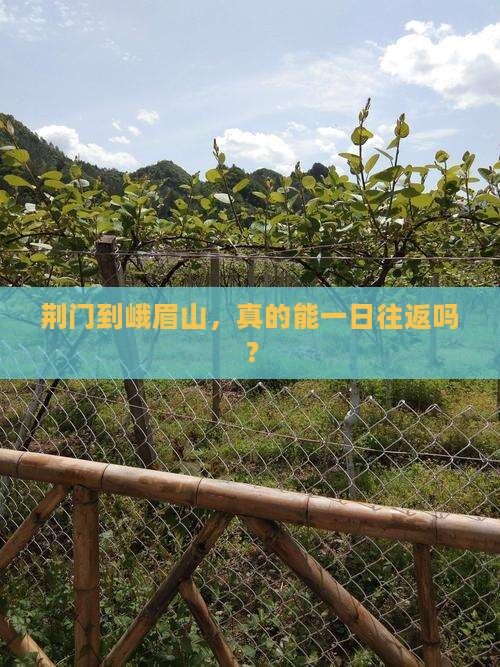 荆门去四川峨眉山一日