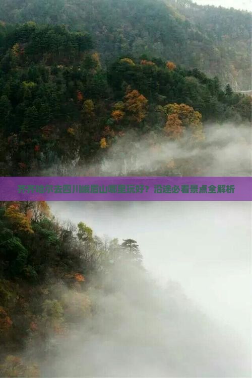 齐齐哈尔去四川峨眉山哪里玩