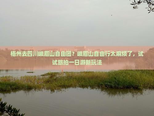 梧州去四川峨眉山自由团