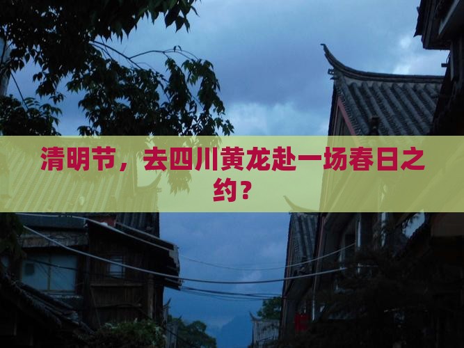 清明节到四川黄龙一日