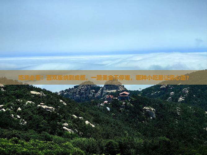西双版纳到四川成都旅游小吃
