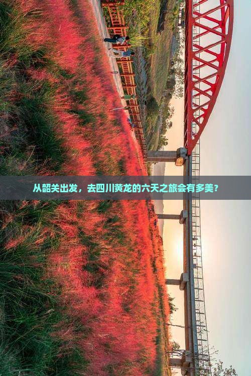 韶关去四川黄龙六日游 韶关去四川黄龙六日游