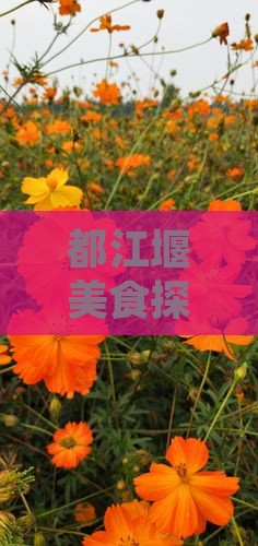 马鞍山去四川都江堰旅游小吃