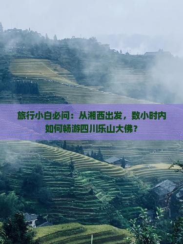 湘西到四川乐山大佛哪里玩