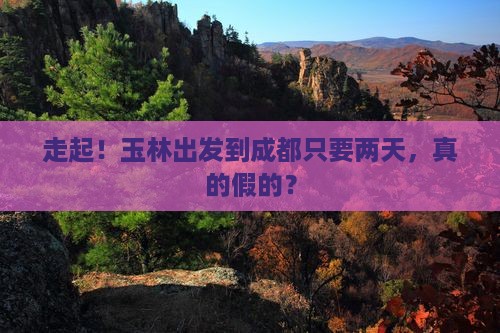玉林到四川成都二日游
