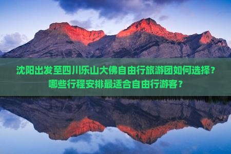 沈阳去四川乐山大佛自由团