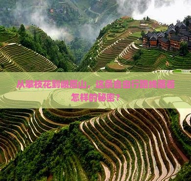 攀枝花到四川峨眉山自由行