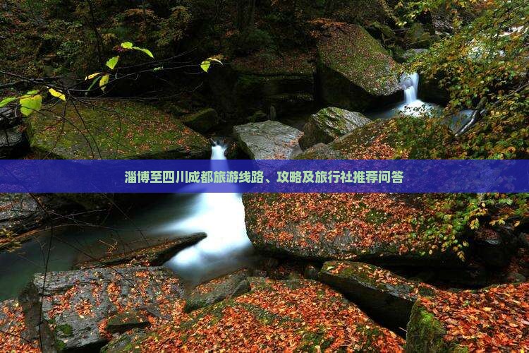 淄博到四川成都旅行社