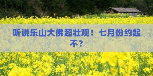 七月去四川乐山大佛一日