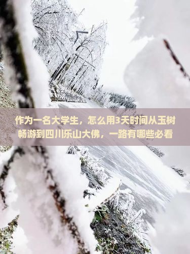 玉树去四川乐山大佛三日游