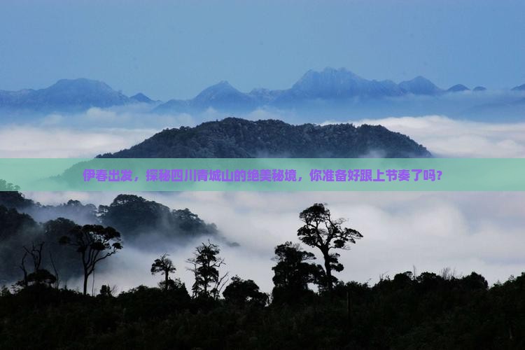 伊春到四川青城山必去地 伊春到四川青城山必去地