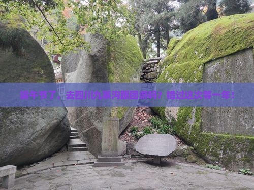 端午节到四川九寨沟团体旅游