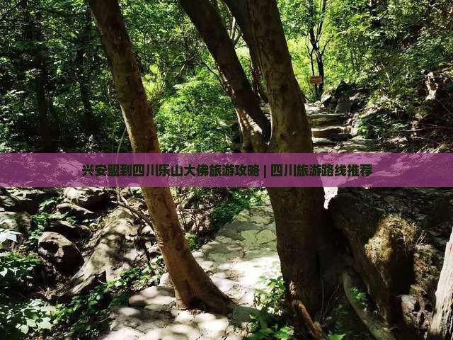 兴安盟到四川乐山大佛攻略
