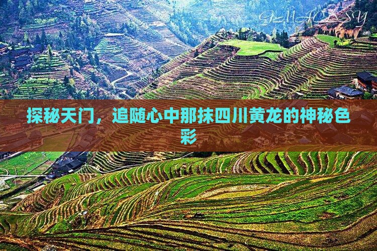 天门到四川黄龙攻略
